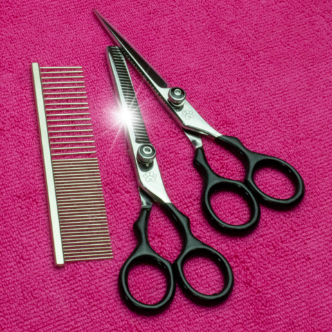 Pakketilbud | Ollipet Basic Groomingsæt m. Kam